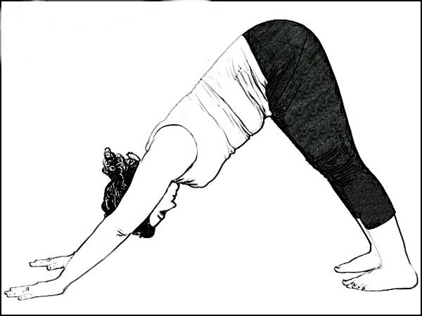  അധോ മുഖ ശ്വാനാസനം