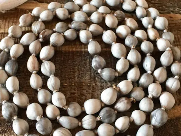 വൈജന്തി മാല ധരിക്കേണ്ട സമയം