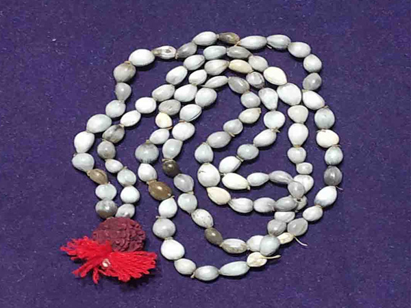 വൈജന്തി മാല ധരിക്കുന്നതിന്റെ ഗുണങ്ങള്‍