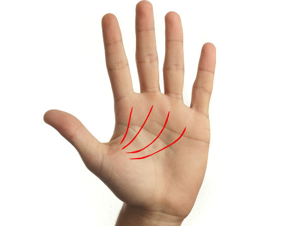 എന്തുകൊണ്ടാണ് വിഷ്ണു രേഖ ഭാഗ്യരേഖയായി മാറുന്നത്?