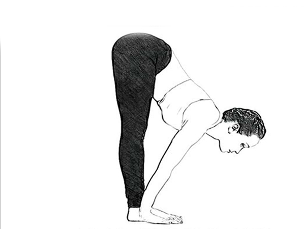 ചെയ്യുന്ന വിധം