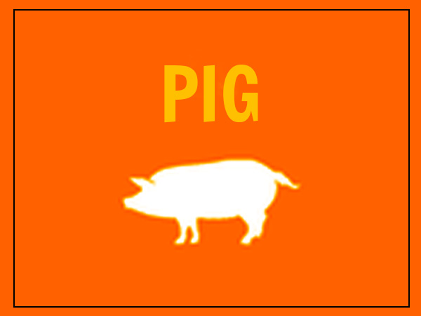 പന്നി (ജനന വര്‍ഷം - 1947, 1959, 1971, 1983, 1995, 2007, 2019)