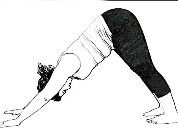 അധോമുഖ ശ്വാനാസനം