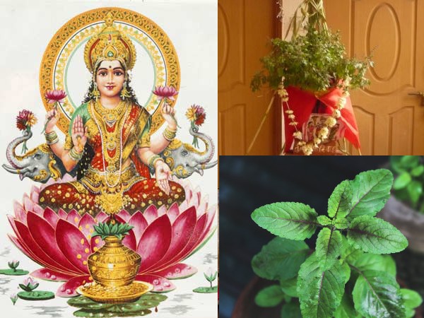 തുളസി വിവാഹം വാസ്തുപ്രകാരം ശ്രദ്ധിക്കാന്‍
