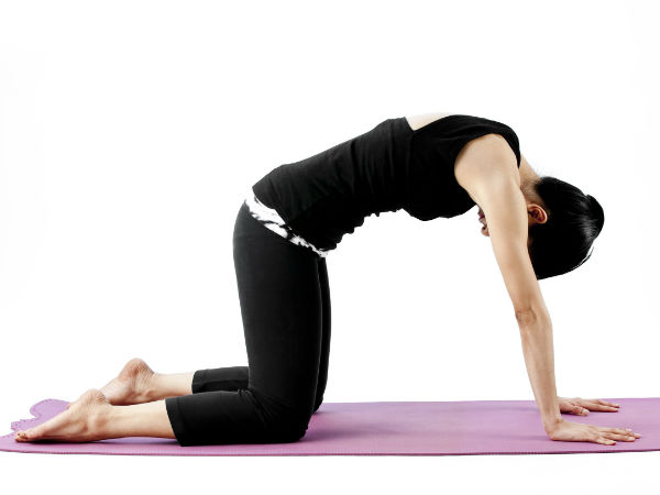 ദ്വിപദ മാര്‍ജാര്യാസനം