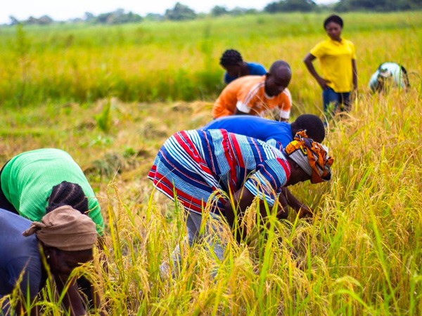 കര്‍ഷകര്‍ക്ക് നേട്ടം