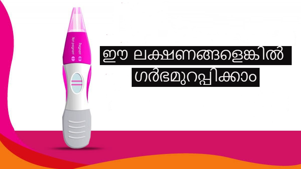 First Signs And Symptoms Of Pregnancy First Signs And Symptoms Of Pregnancy