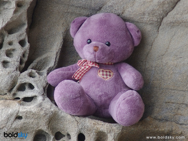Happy Teddy Day