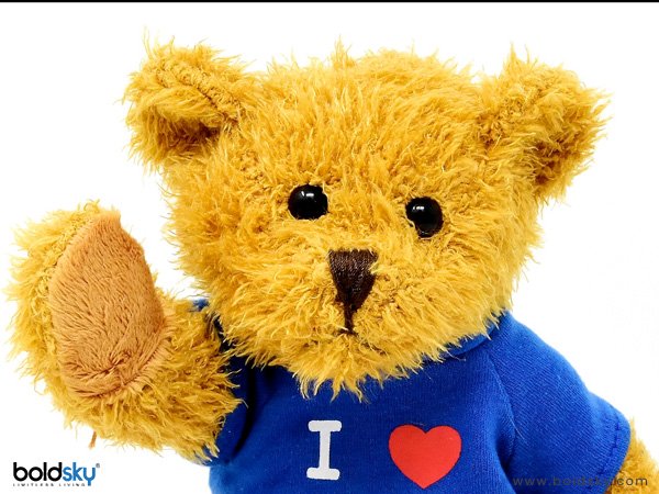 Happy Teddy Day
