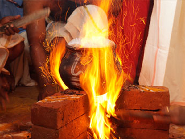 മണ്ടപ്പുറ്റിന്റെ ഫലം