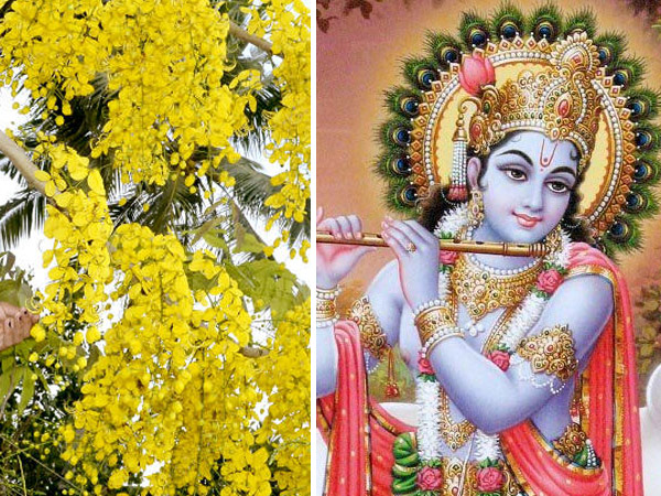 vishu