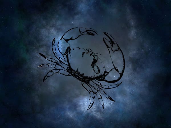 Today Horoscope Malayalam: 14 April 2023 Nakshatra Phalam Of Each Zodiac Sign In Malayalam