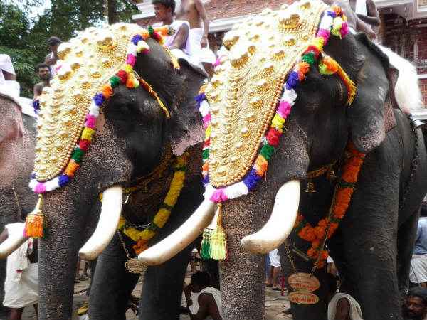 Thrissur Pooram 2023 Date, Time, Significance; Details In Malayalam