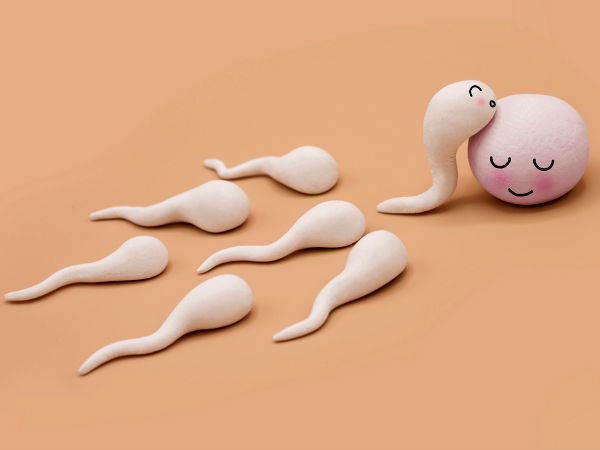 sperm health sperm health