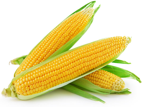 corn