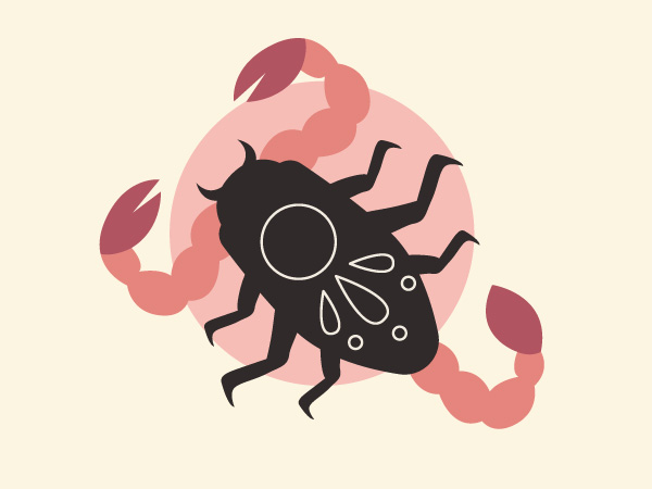 Planet Transit In June 2023 Effects And Remedies For All Zodiac From Aries To Pisces