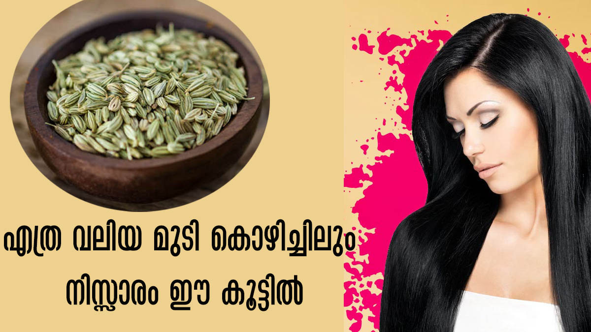 തൈരും ഒരു സ്പൂണ്‍ ജീരകവും അരച്ച് തേക്കുന്നത് മുടിയിലെങ്കില്‍ മുട്ടറ്റം മുടി How To Use