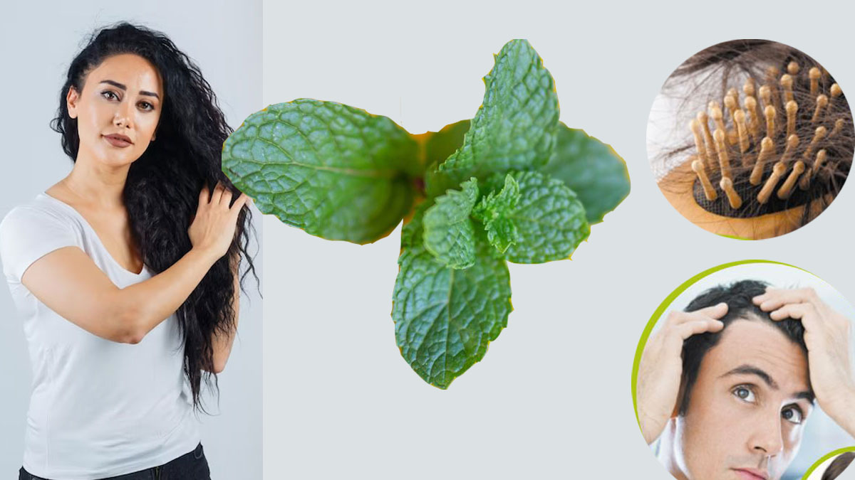 Mint Hair Packs Mint Hair Packs