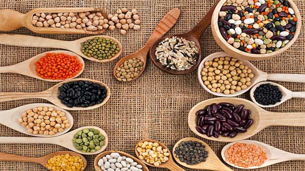 Pulses for pregnancy