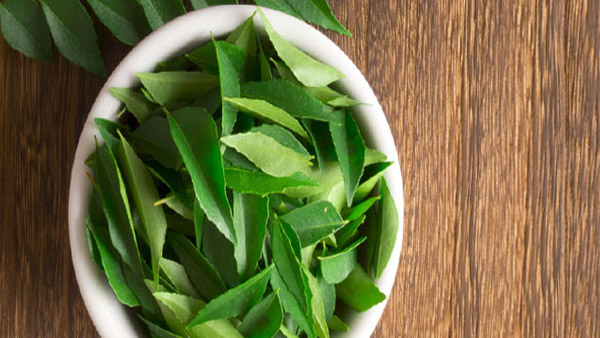 curry leaves curry leaves