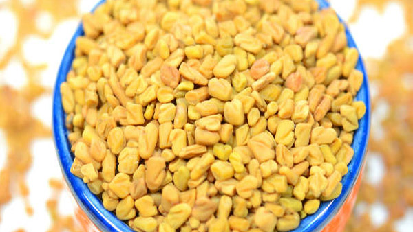 fenugreek fenugreek