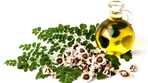 mooringa oil mooringa oil