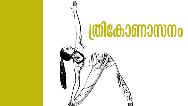 trikonasna trikonasna