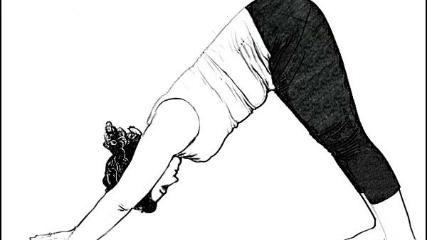 international yoga day