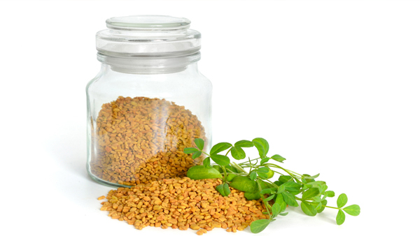 fenugreek in malayalam