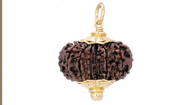 rudraksha 