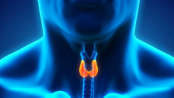 Underactive Thyroid Disorder