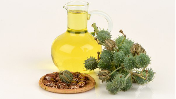 castor oil for hair care