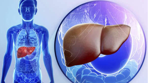 liver disease symptoms liver disease symptoms