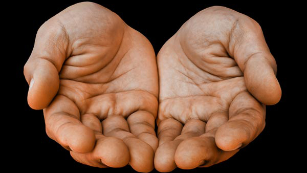 palmistry preediciton