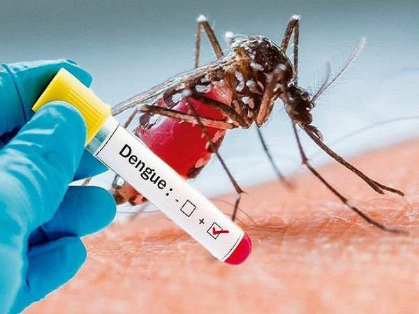 These Home Remedies Will Help You To Improve Your Platelet Count And Control Dengue Fever