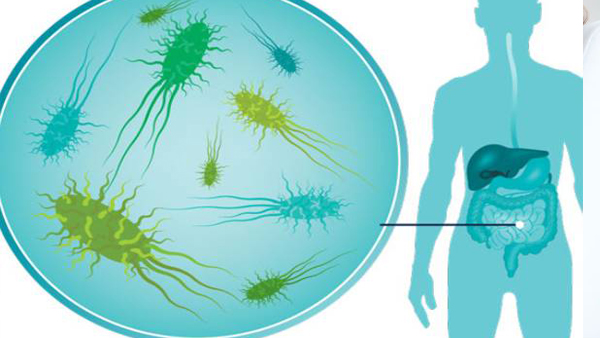 gut health in malayalam