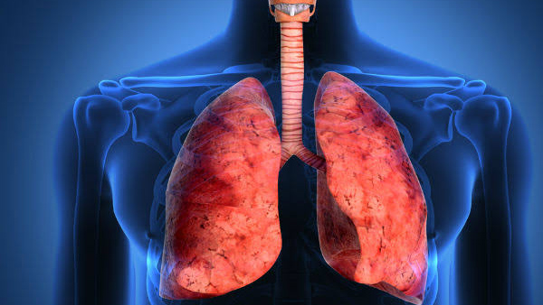 lungs health monsoon