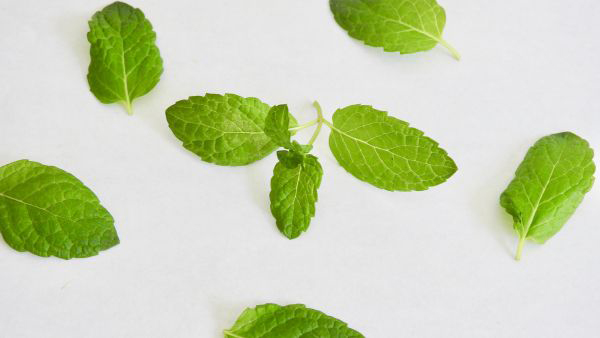 peppermint hair care peppermint hair care