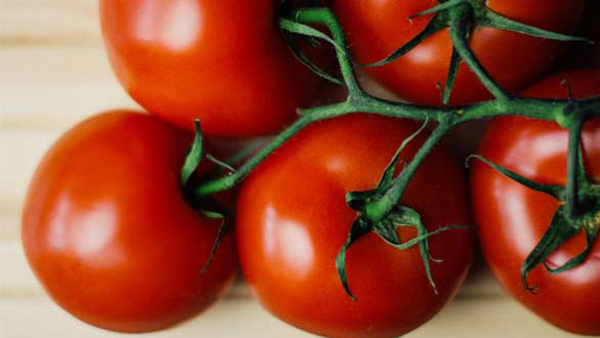 tomato benefits tomato benefits
