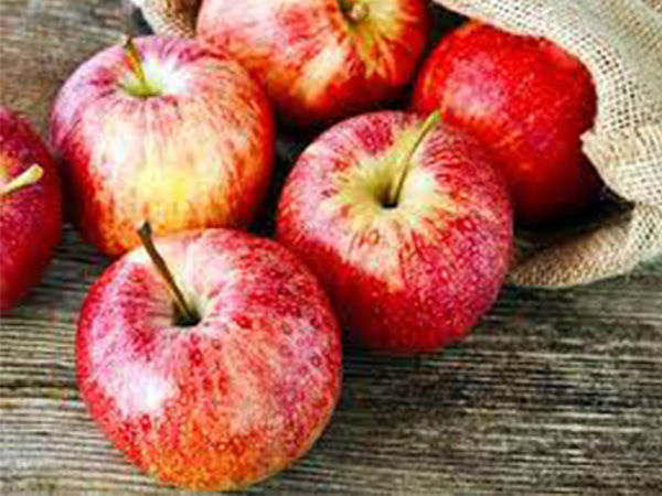 Weight Loss Tips: Include These Foods In Your Morning Diet To Lose Weight