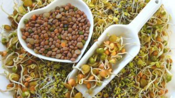 Can Babies Eat Sprouts