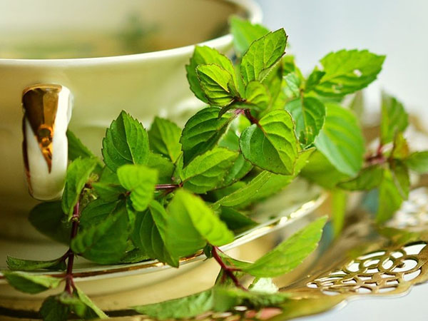Herbs That Will Help You To Remove Your Anxiety