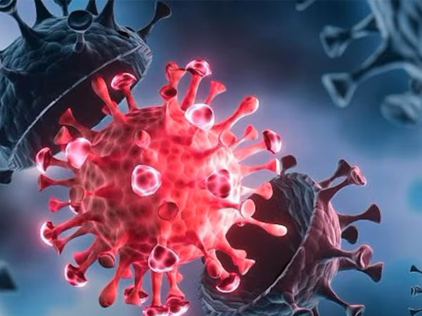 New Covid Variant JN 1