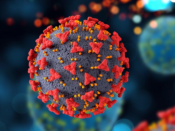 New Covid Variant JN 1 New Covid Variant JN 1