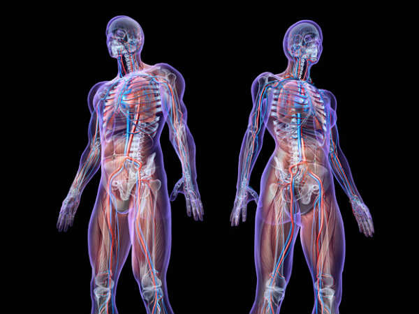 What Happens to the Human Body After the Last Breath