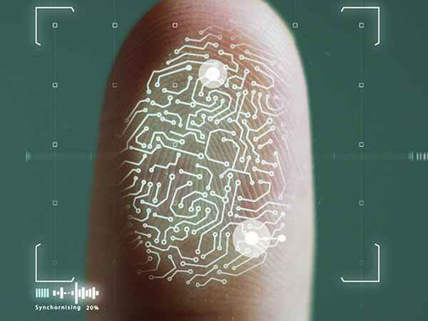 Surprising Facts About Fingerprints