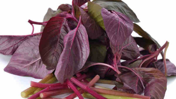 Add Spinach To Your Diet