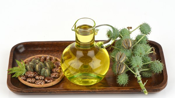 Castor Oil And Egg Yolk