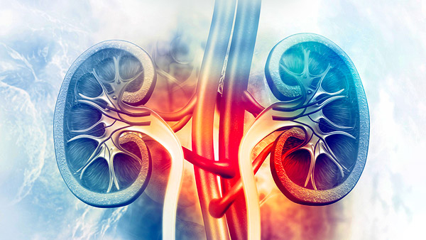 World Kidney Day 2024