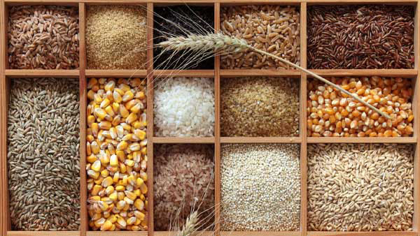 Discover The Benefits